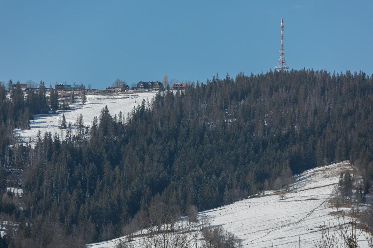 Rent Like Home - Orkana IX Zakopane Exteriér fotografie